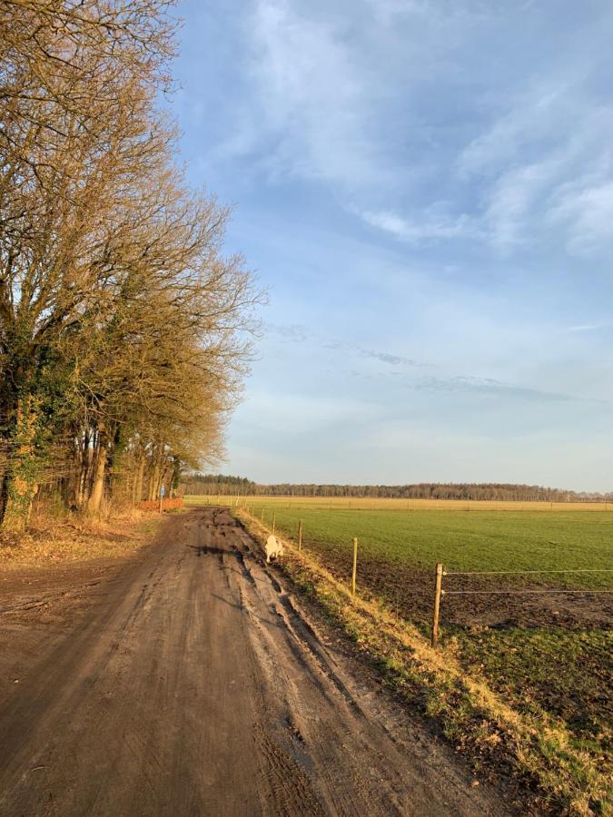 'T Holten Huus - Puur Genieten In Het Bos. Norg Luaran gambar