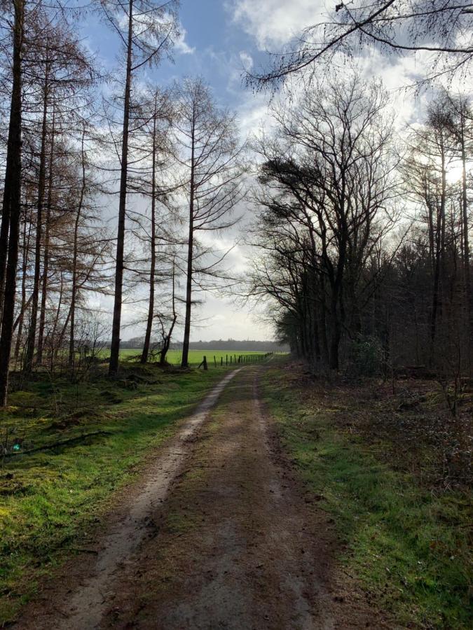 'T Holten Huus - Puur Genieten In Het Bos. Norg Luaran gambar