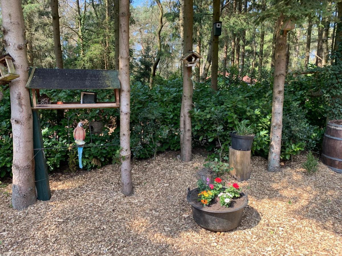 'T Holten Huus - Puur Genieten In Het Bos. Norg Luaran gambar