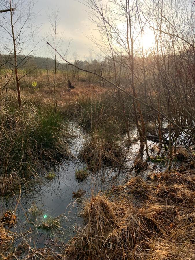 'T Holten Huus - Puur Genieten In Het Bos. Norg Luaran gambar