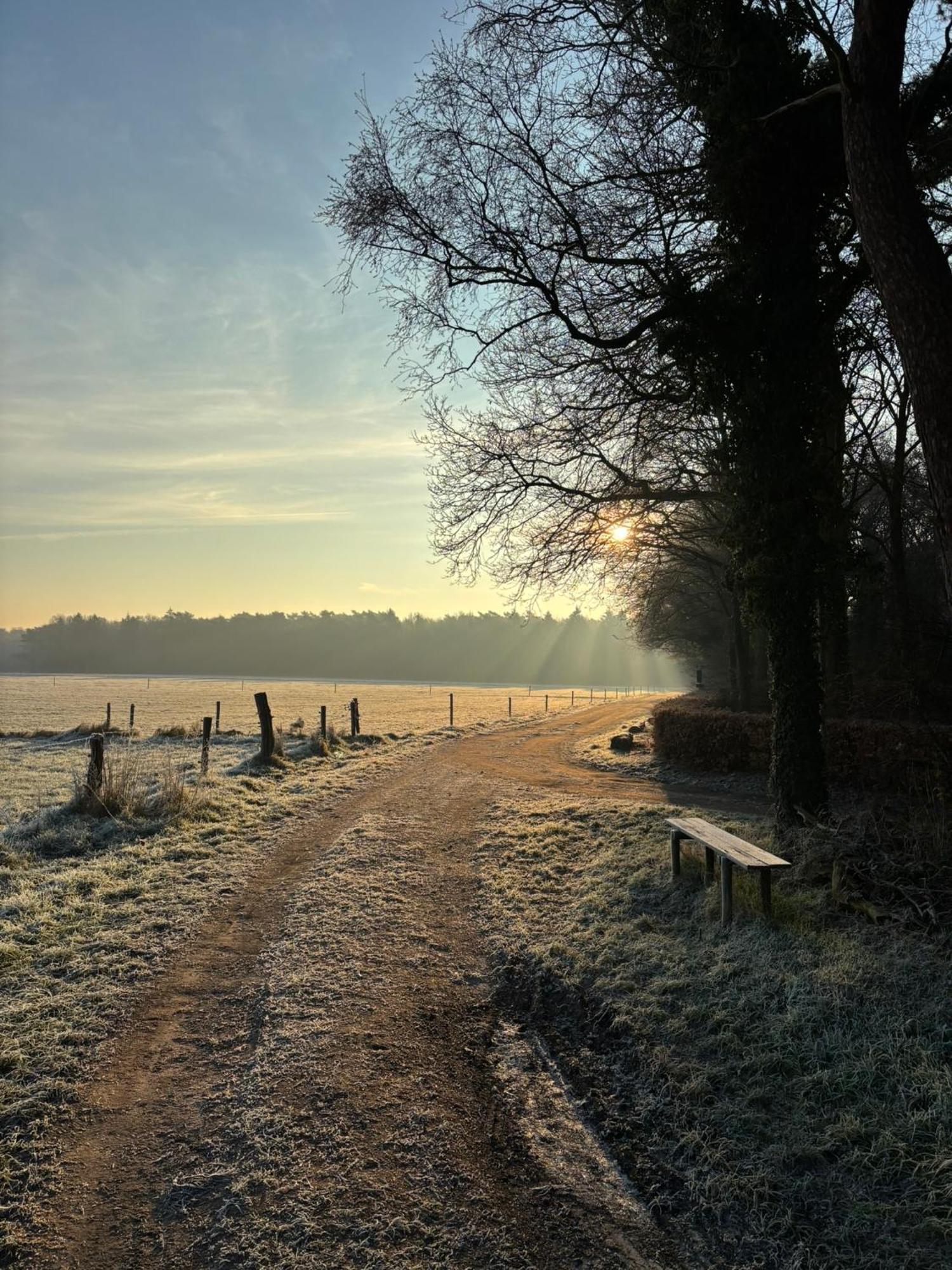 'T Holten Huus - Puur Genieten In Het Bos. Norg Luaran gambar